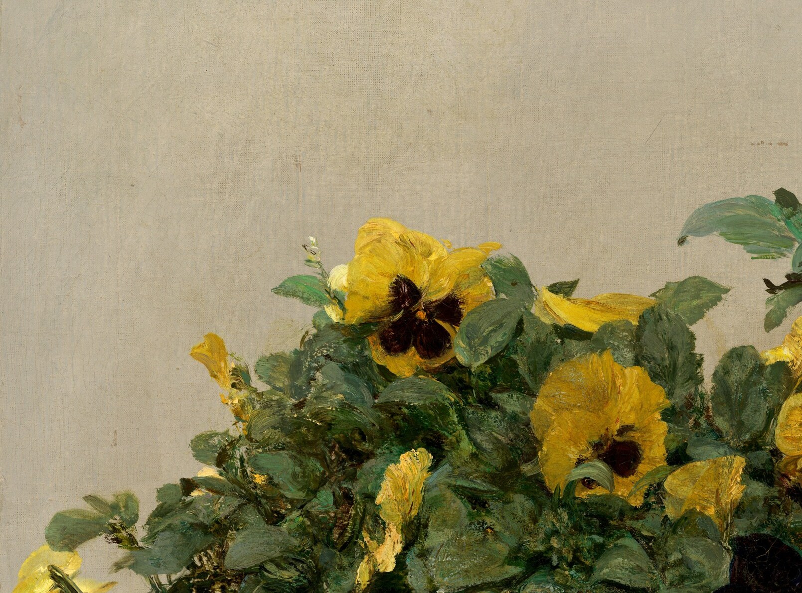 Yet the yellow petals glow with remarkable luminosity.