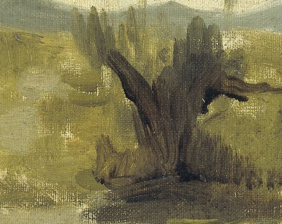 Its rough texture and dark form anchor the composition, suggesting resilience or isolation.