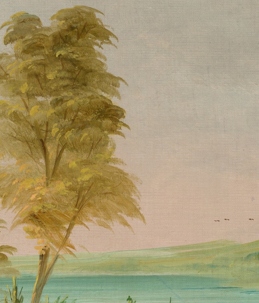 The artist, George Catlin, painted this scene 160 years later.