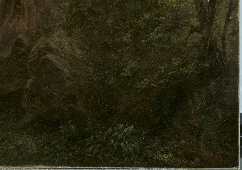 The deep shadows and thick foliage create a sense of mystery and the unknown.