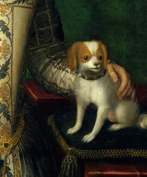 A small spaniel sits alert on a red velvet cushion. The dog means marital fidelity.