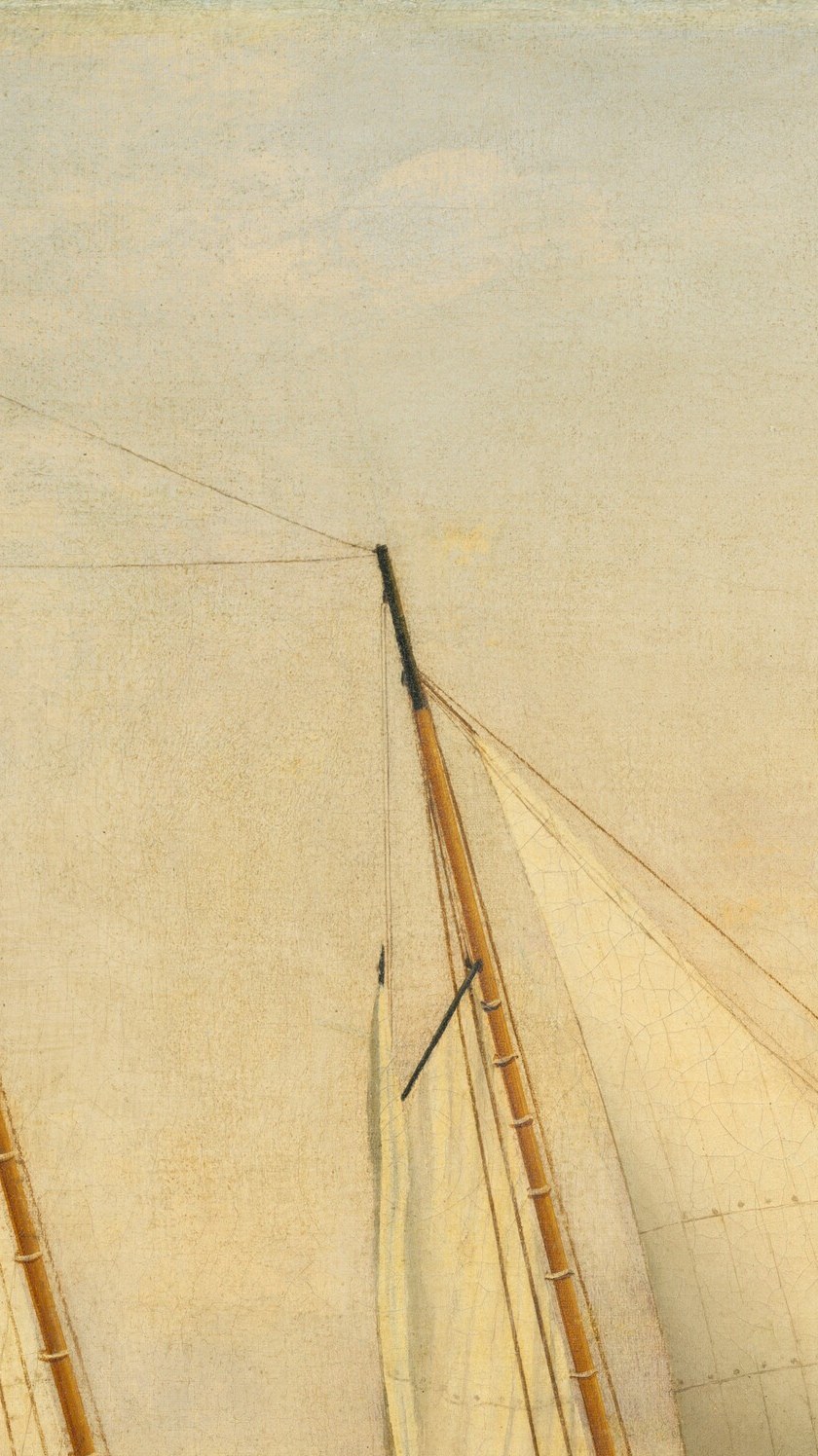 The vertical spine of the painting; the complexity of stays and shrouds demonstrates Müller's knowledge of period schooner rigging
