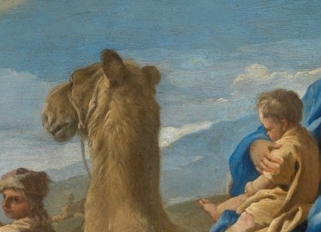 A camel's head watches the path.