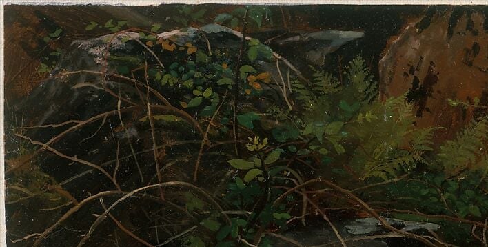 A thick ceiling of overlapping leaves that push the scene into shade; the contrast with the lit rock is the compositional engine of the whole study.