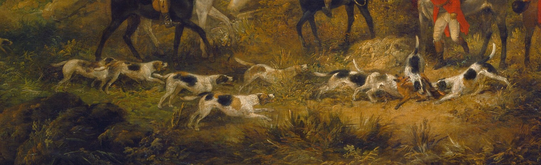 Hunting dogs scatter, active even after the chase.