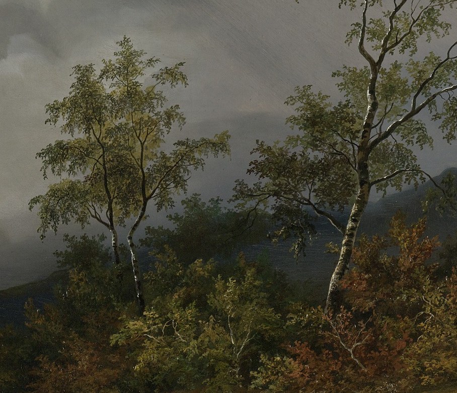 Its delicate leaves and white bark contrast with the dark sky and rugged terrain.
