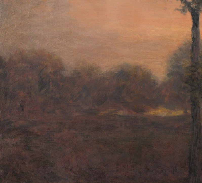 The dark, textured mass of leaves creates a sense of enclosure and mystery.