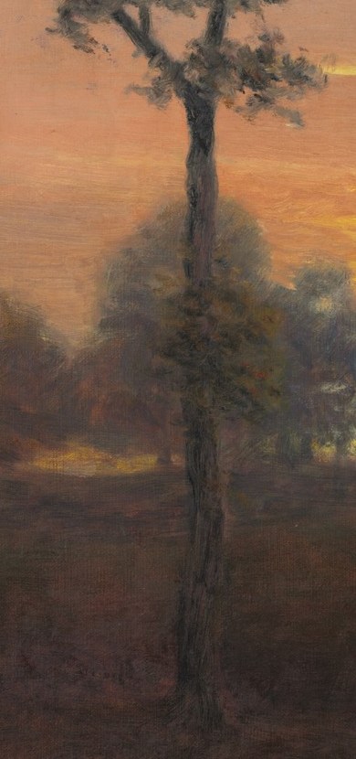 A solitary tree stands against the fading light.