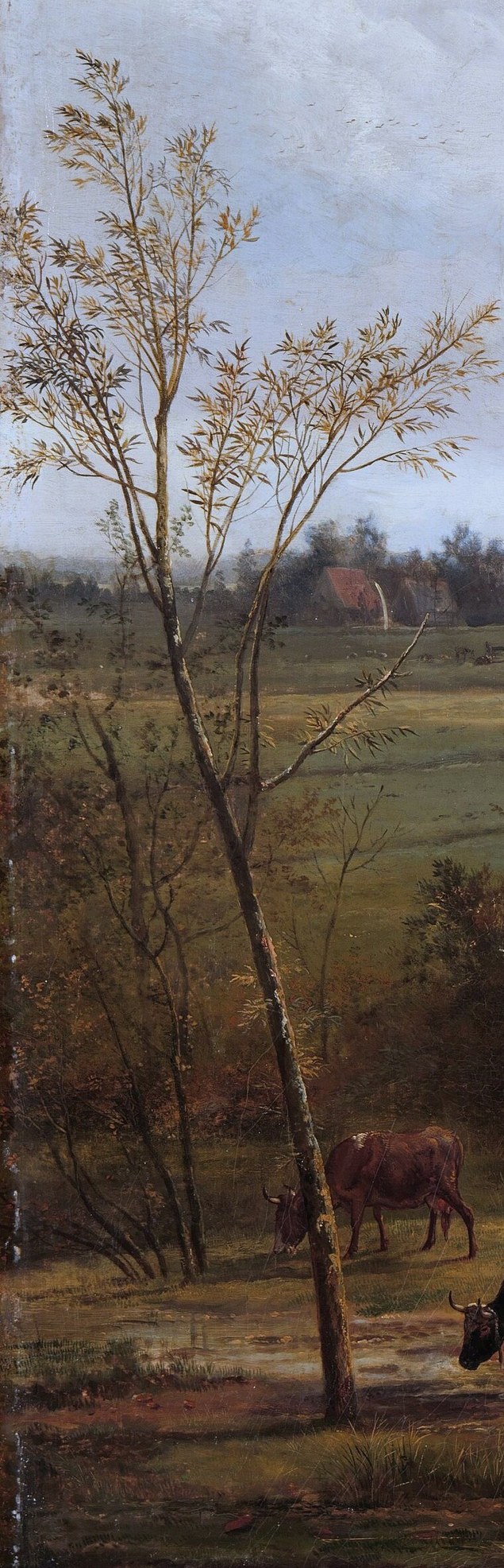 Its bare branches and textured bark draw attention to the details of nature and the changing seasons.