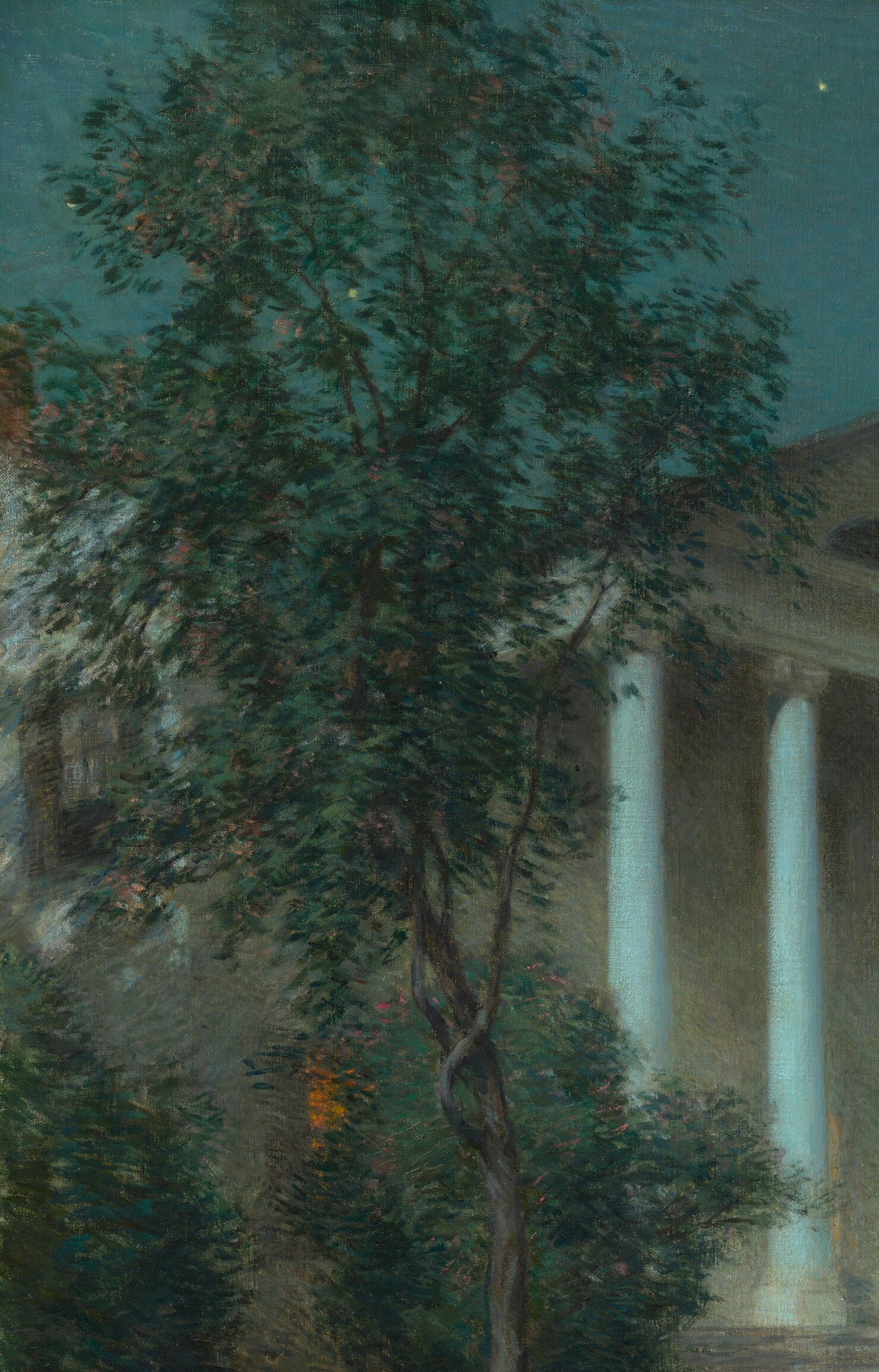Its dense foliage contrasts with the open space, framing the central building.