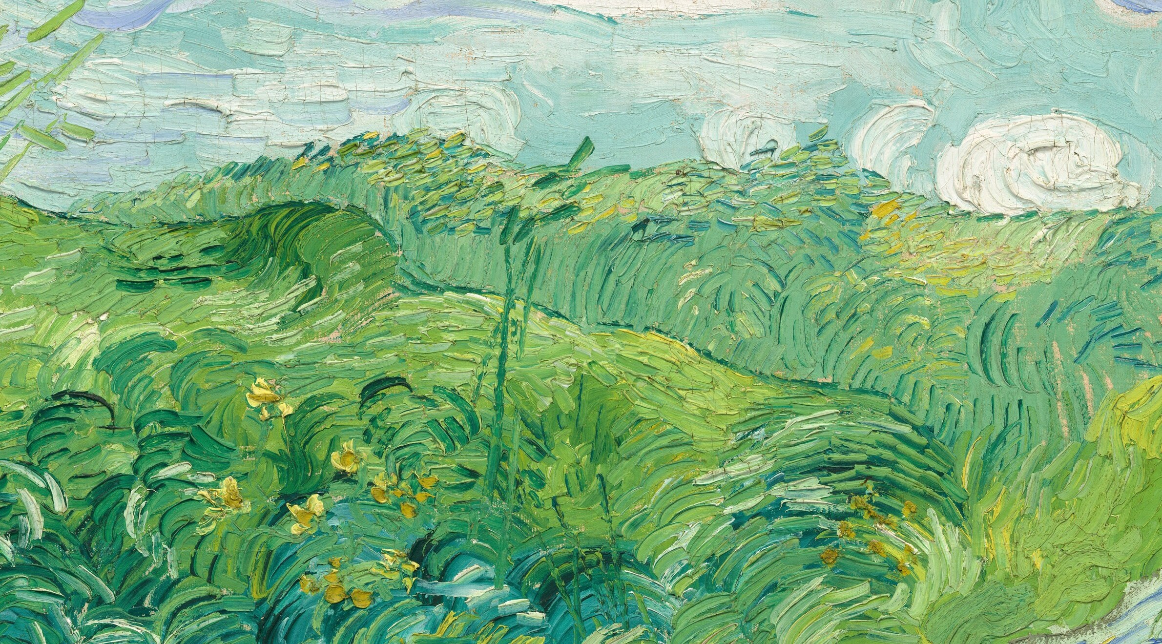 was one of the last landscapes van Gogh ever painted.