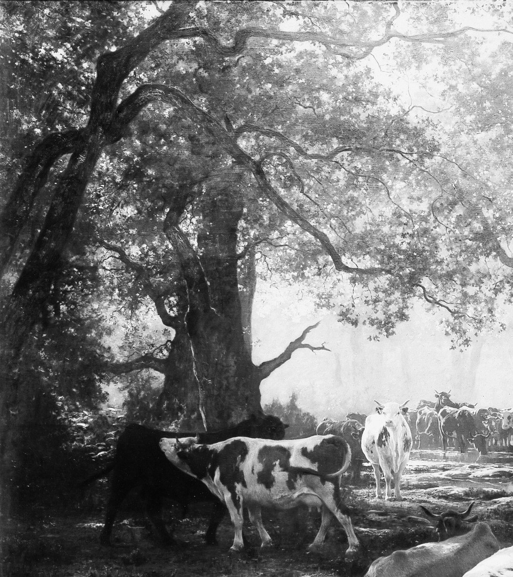 Its gnarled branches and dense foliage create a sense of age and shelter, framing the scene.