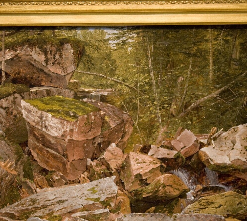 Thin verticals rhythmically interrupt the scene; their pale bark catches side-light and reads as a screen between the viewer and the deep forest beyond.