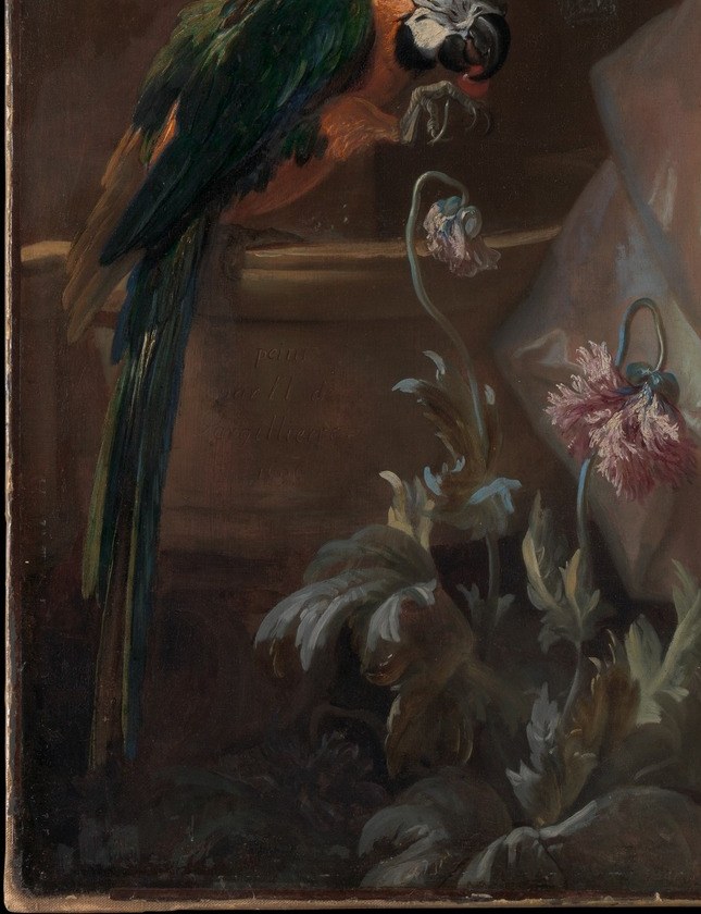 Parrots were costly imports and a potent symbol of wealth, exoticism, and colonial trade routes , a status object as loaded as the jewels, and the painting's most eye-catching color accent