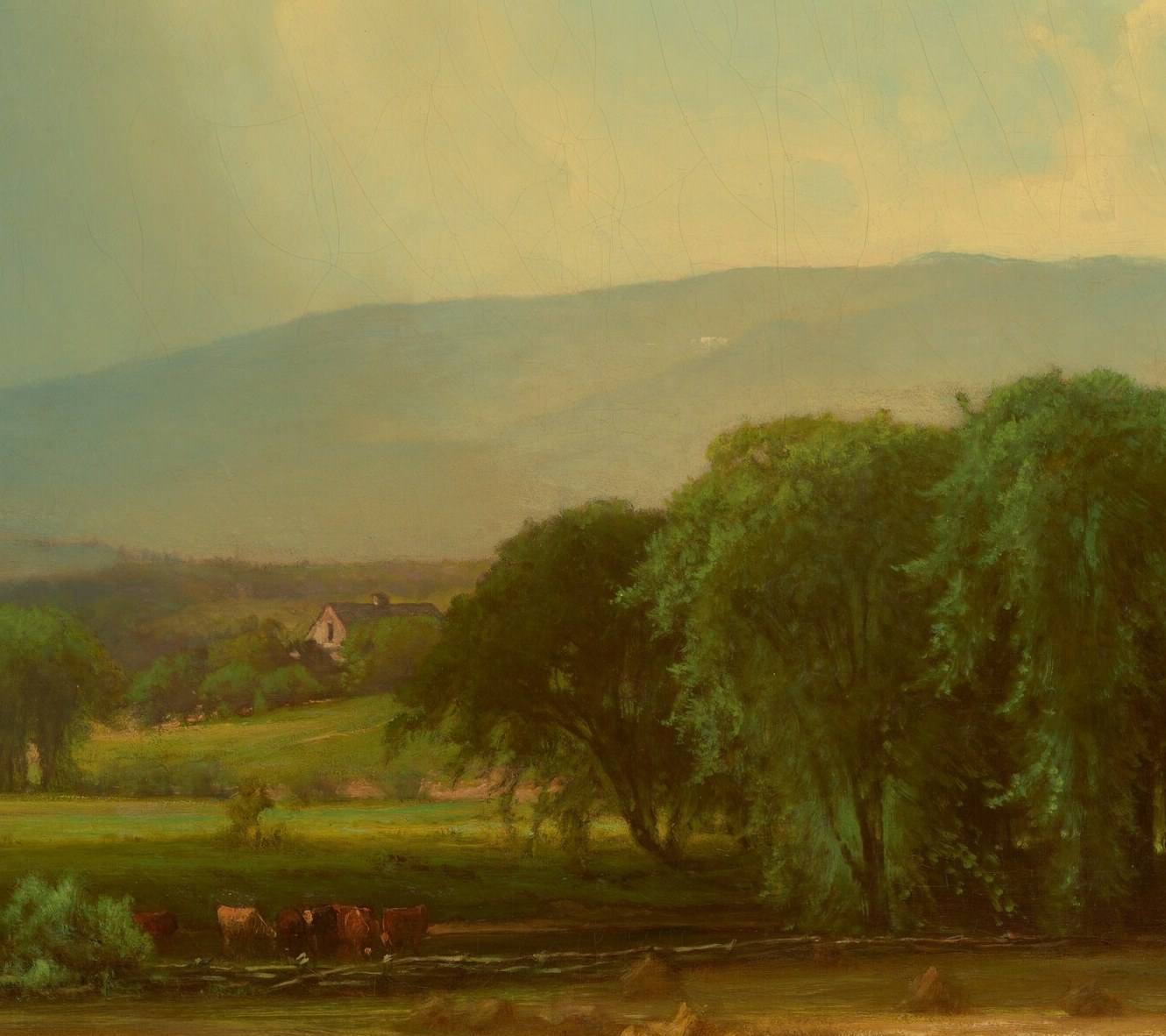 The dominant compositional anchor; its dense canopy mass creates a natural focal point that frames the valley beyond and draws the eye through the scene.
