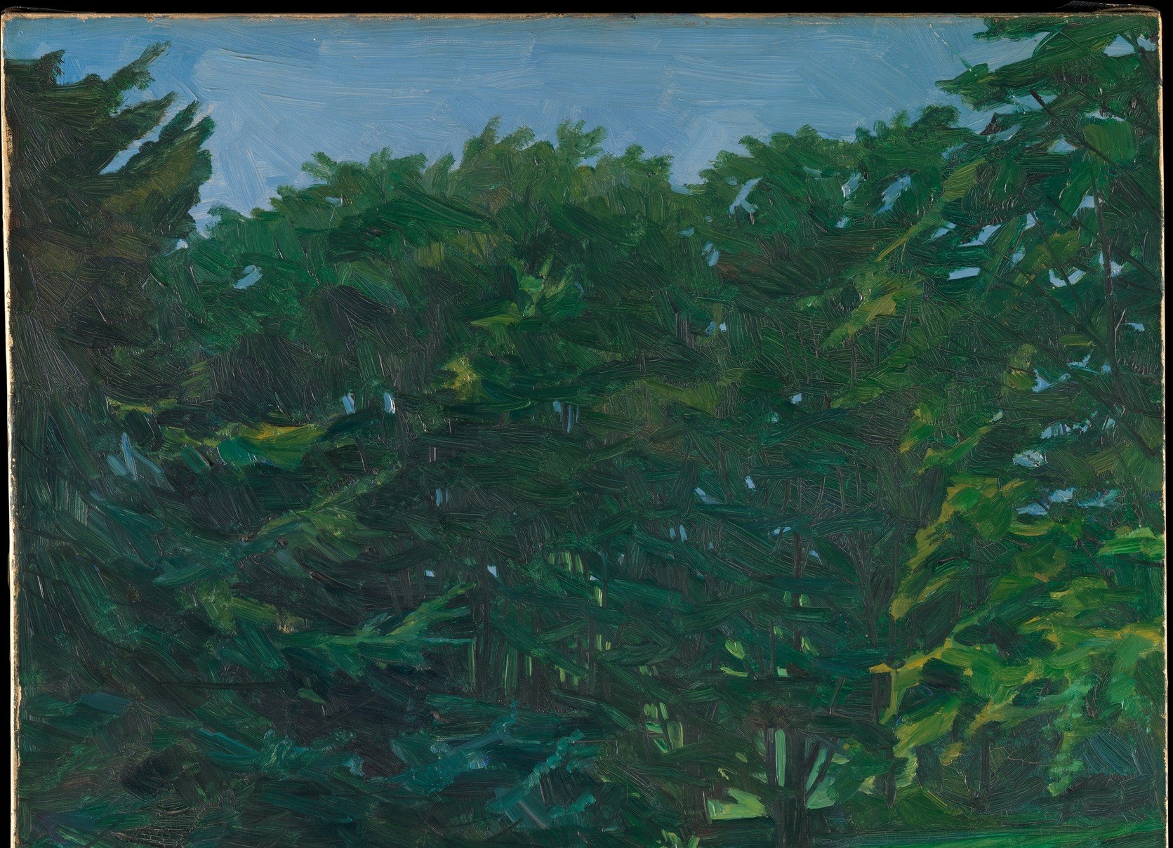He builds layers of paint to create the dense forest canopy.