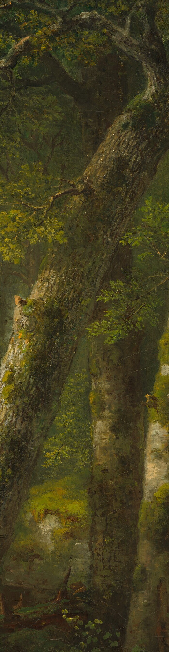 Forms a dialogue with the central trunk, the gap between them acting as the painting's window into the luminous background.