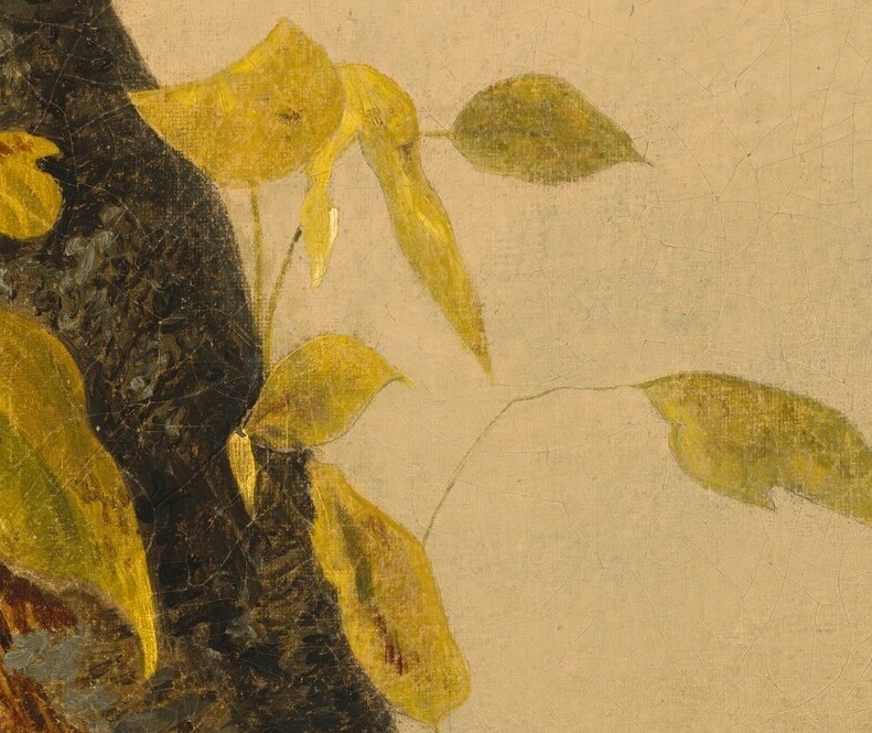 The detailed plumage and bright yellow crown are precisely rendered.