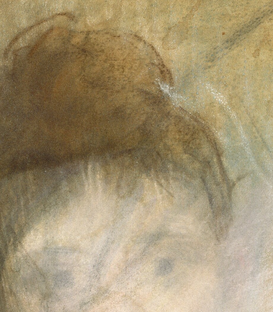 The loose, sketchy lines of the hair convey a sense of movement and informality.