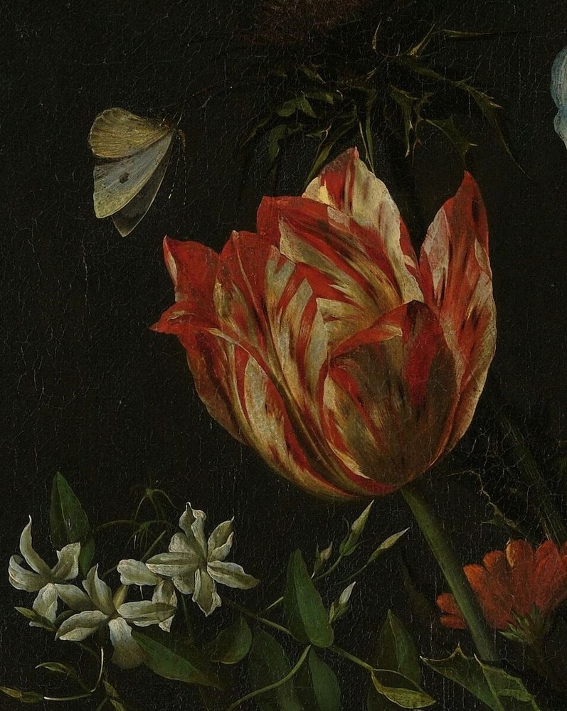 He trained with a famous flower painter in Antwerp, Daniel Seghers.