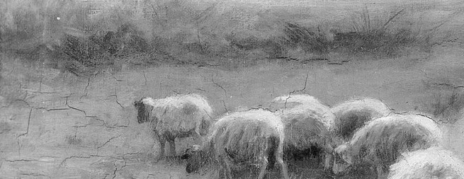 Tiny grey shapes dissolve into the horizon.