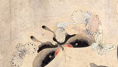 But look closely, there are many kinds of butterflies.