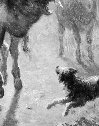 Now look at the dog. The only urgent thing here.