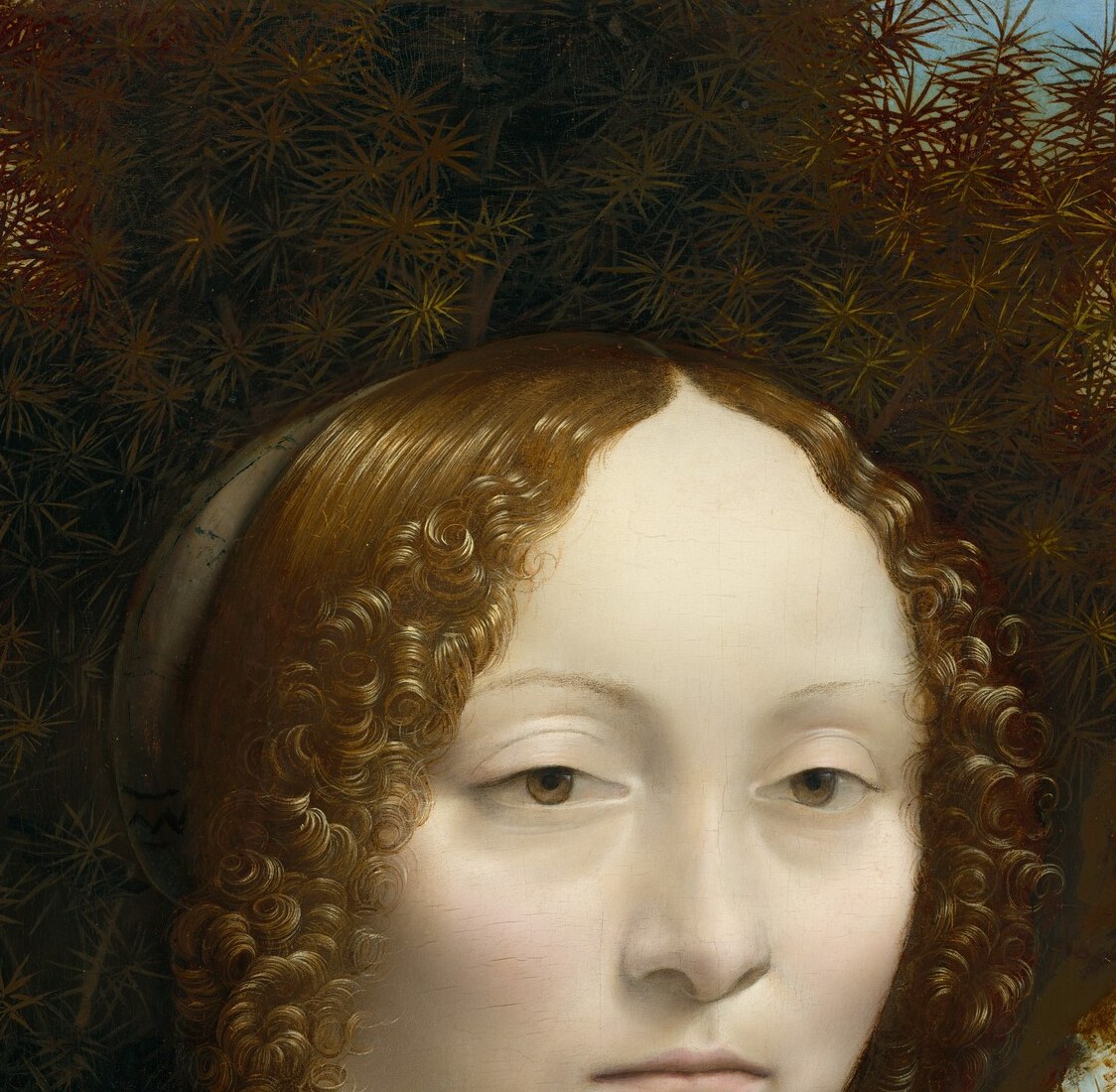 The psychological core of the painting: her cool, detached gaze directed slightly past the viewer conveys a guarded intelligence, unusual for 15th-century female portraiture.