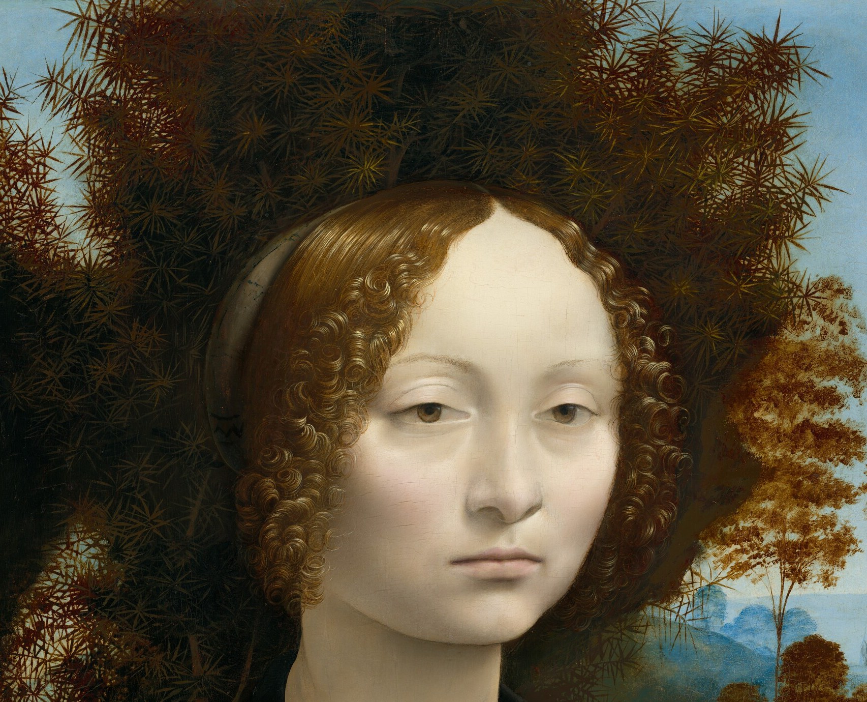 The juniper (ginepro in Italian) is a visual pun on Ginevra's name, functioning as a rebus; its spiny silhouette also forms a natural halo and contrasts sharply with her smooth skin.