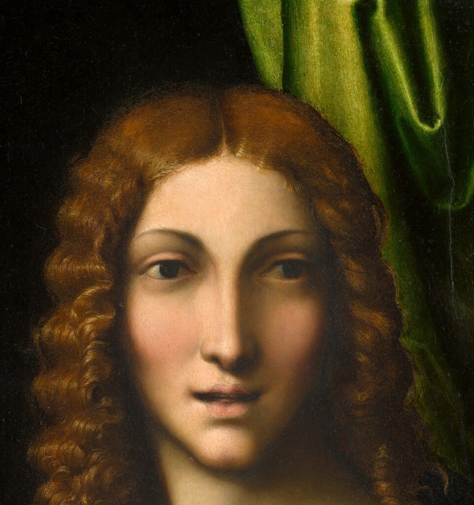 The spiritual center of the image , sfumato-softened modeling gives the face a luminous, otherworldly calm that anchors every other element.