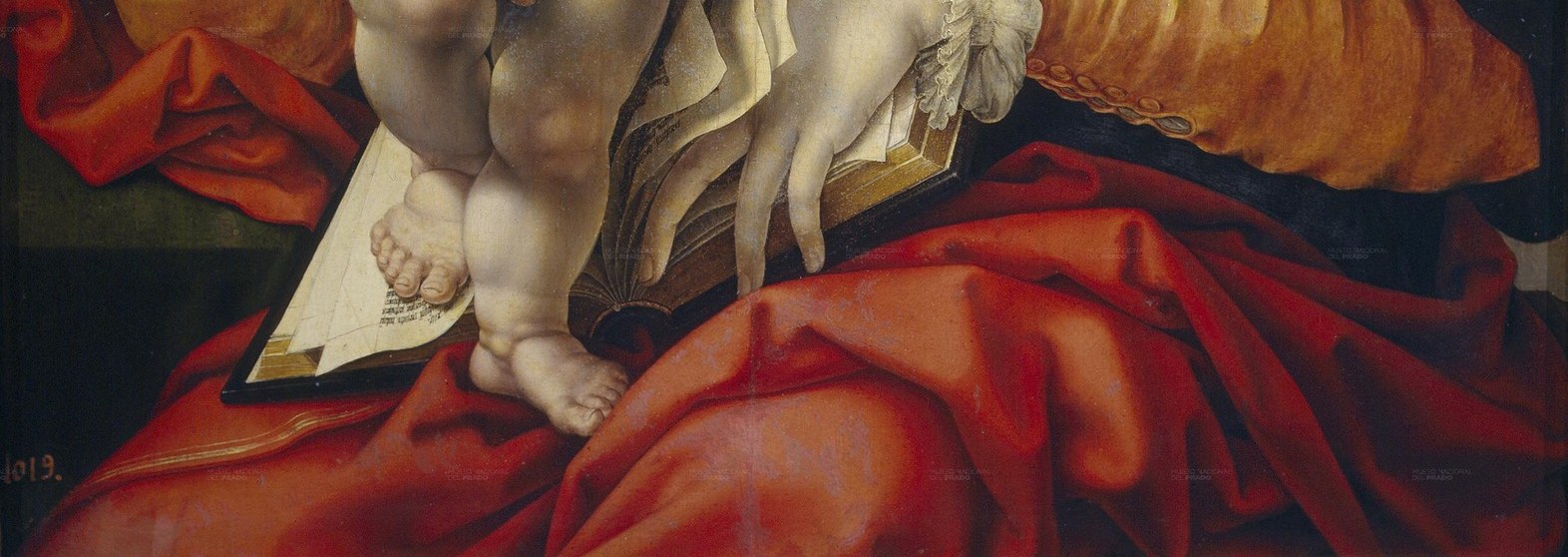 The deep, velvety folds of the fabric add a sense of opulence and ground the composition.