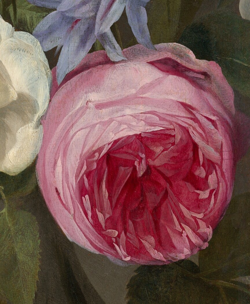 The tightly furled petals of this rose convey a sense of opulence and delicate beauty.