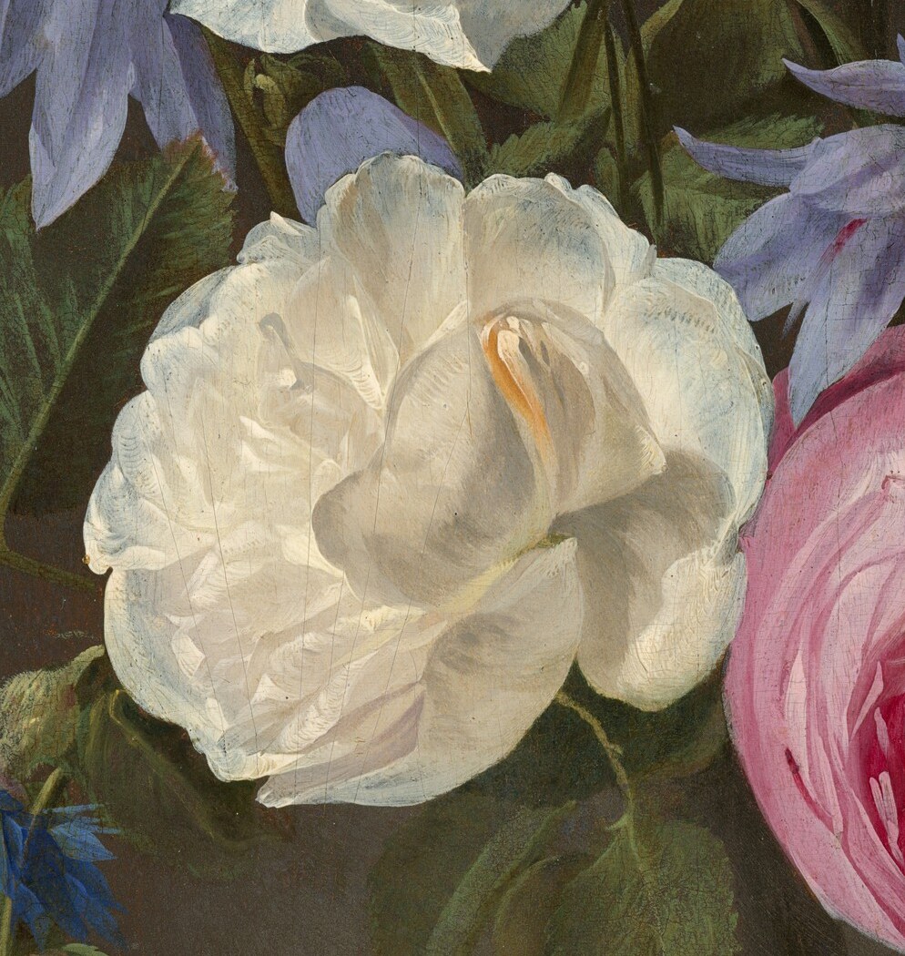 Its soft, layered petals are rendered with exquisite detail, highlighting the subtle play of light and shadow.