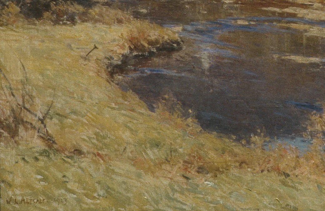 The meadow up close is thick, tawny gold.