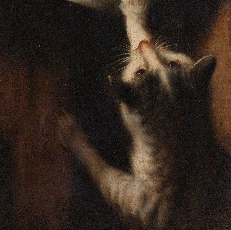 Even a playful cat cannot disturb her moment.