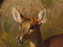 He captures the quiet intimacy of a deer family.