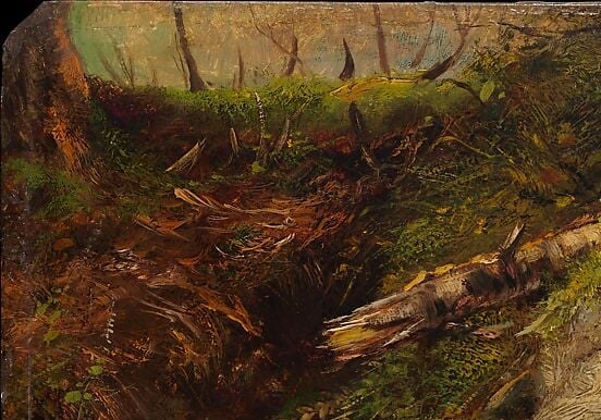 Notice the soft focus on the forest in the background.