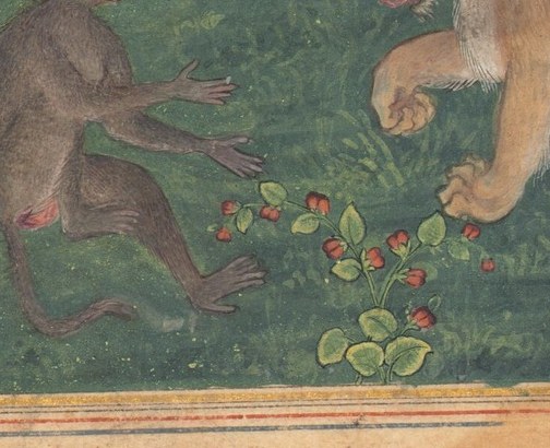 His braced paw wants to flee, not fight.