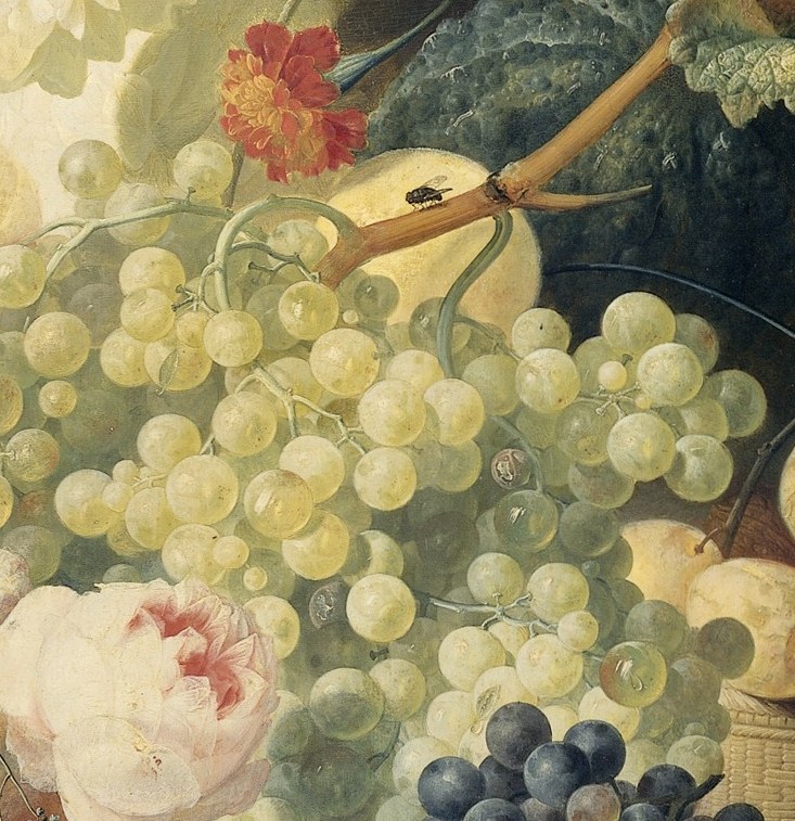 The translucent quality of the grapes and the subtle play of light suggest ripeness and abundance.