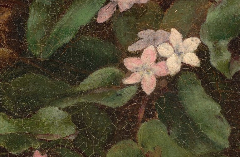 And even the leaves show subtle variations and texture.