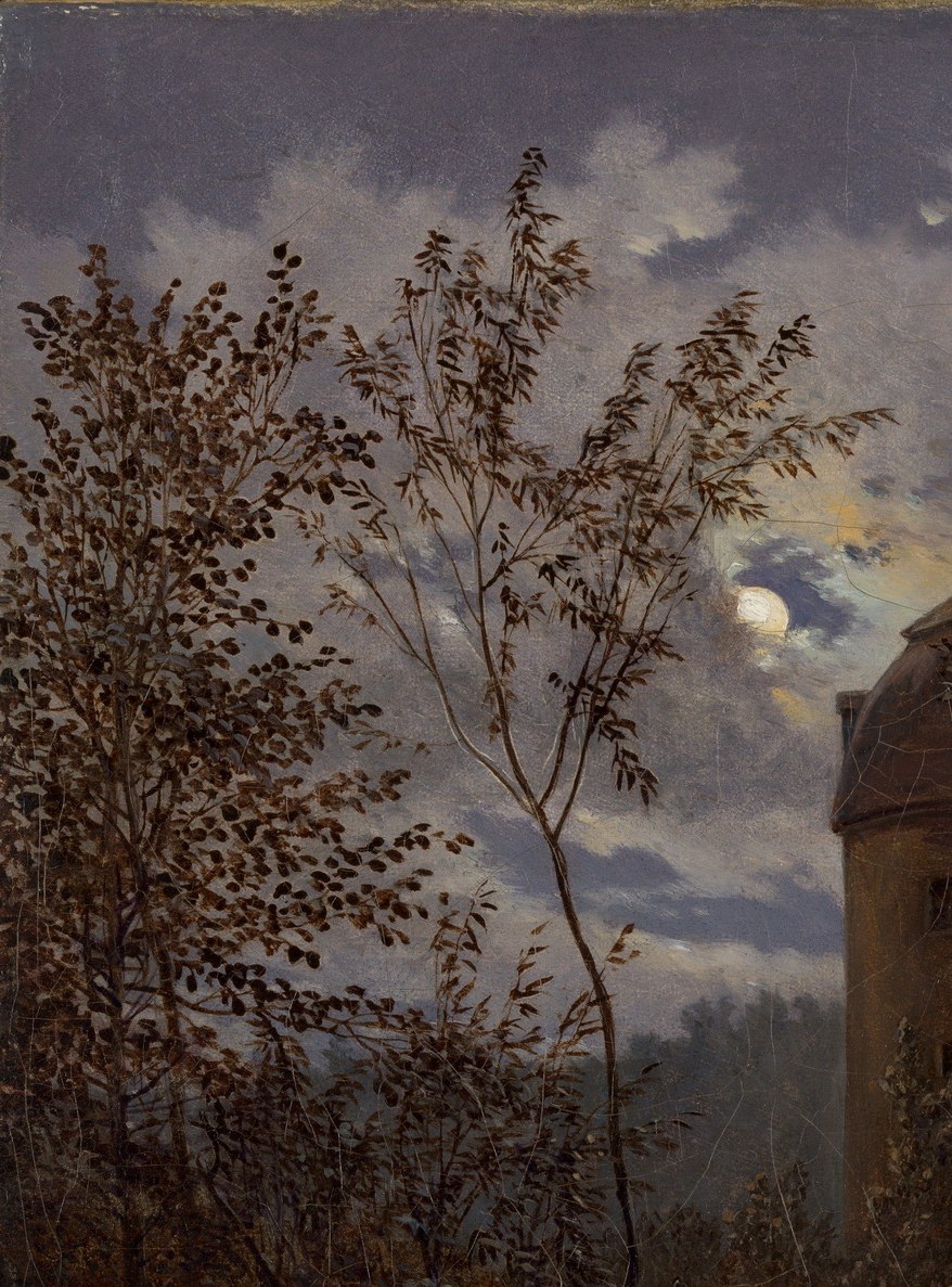 Carus's finest linear passage: dozens of thin branches criss-cross the luminous sky in a naturalistic tracery that is simultaneously a technical display and a Romantic symbol of winter desolation.