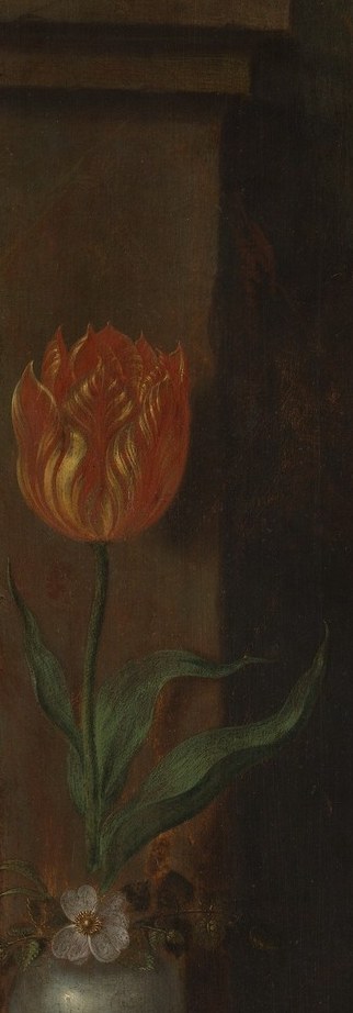 Painted just as tulip mania was beginning in the Netherlands; the single bloom in a test-tube vase signals beauty's peak is already its prelude to withering, and its monetary value amplifies the coins' message.