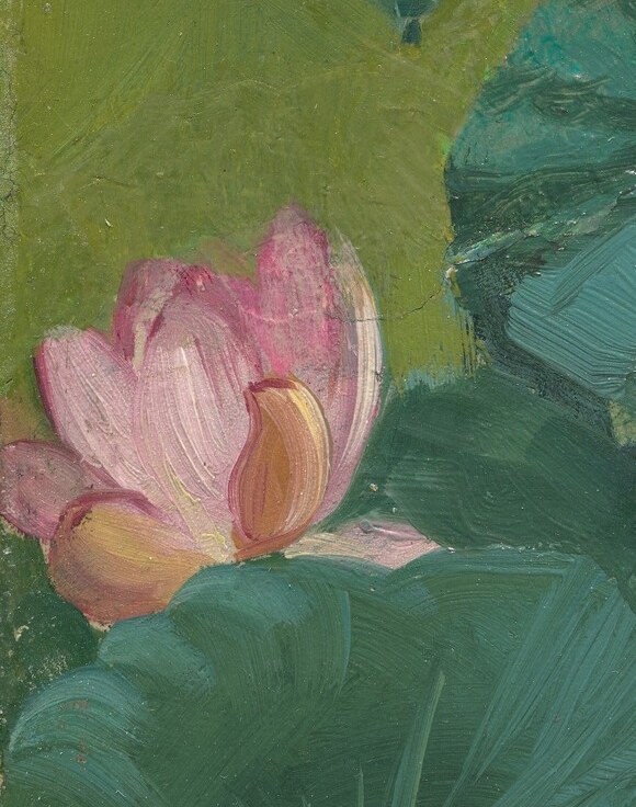 The lotus flower is sacred in Buddhist traditions.