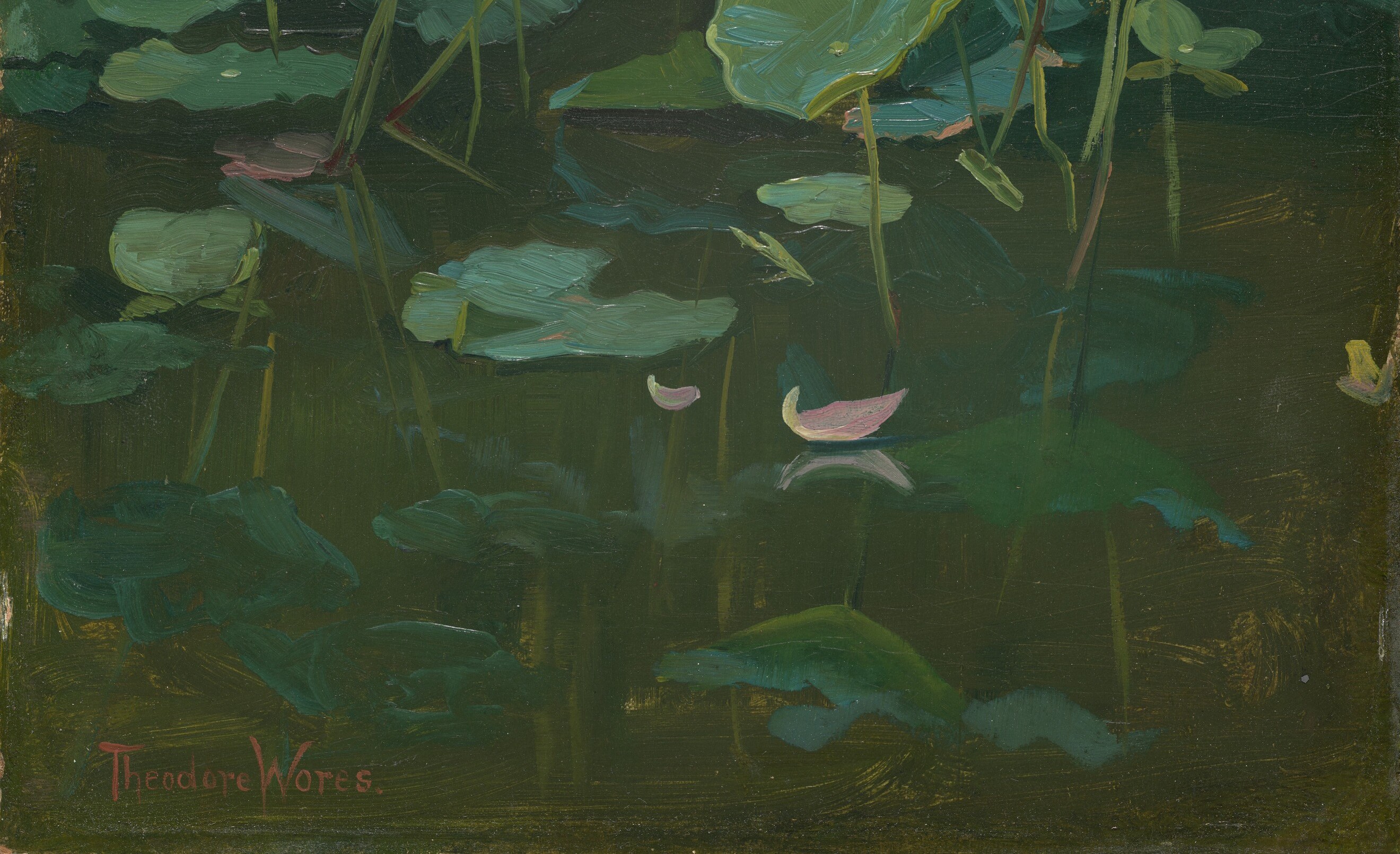 Look closely at the water's dark, reflective surface.