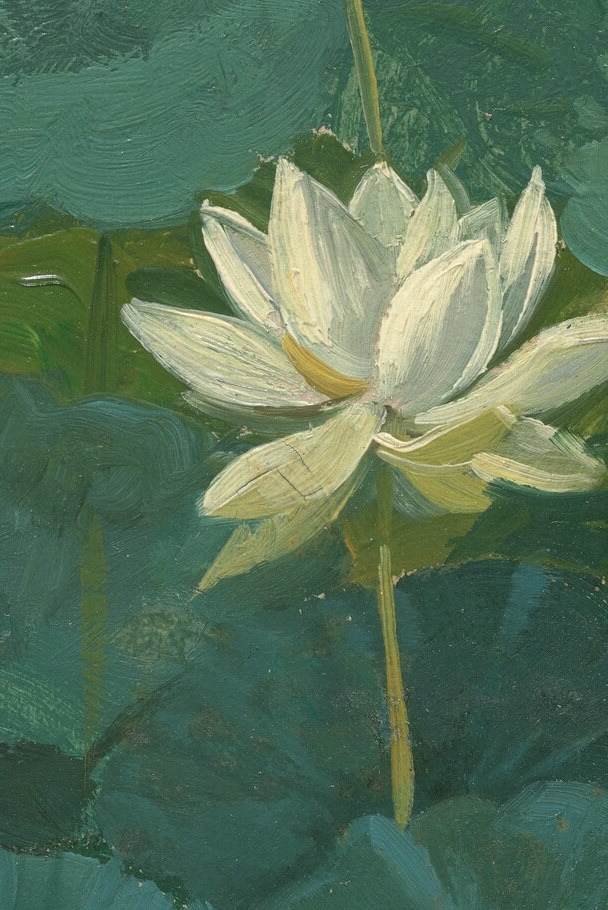 Its delicate petals rise from the water, symbolizing purity.