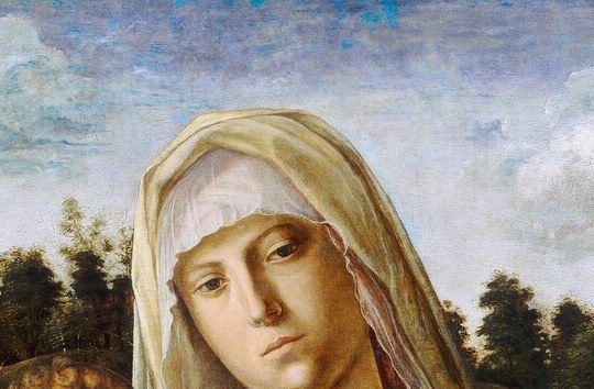 Serene, idealized Venetian feminine beauty with a downward gaze that draws the viewer into a meditative loop with the Child; the emotional anchor of the composition.
