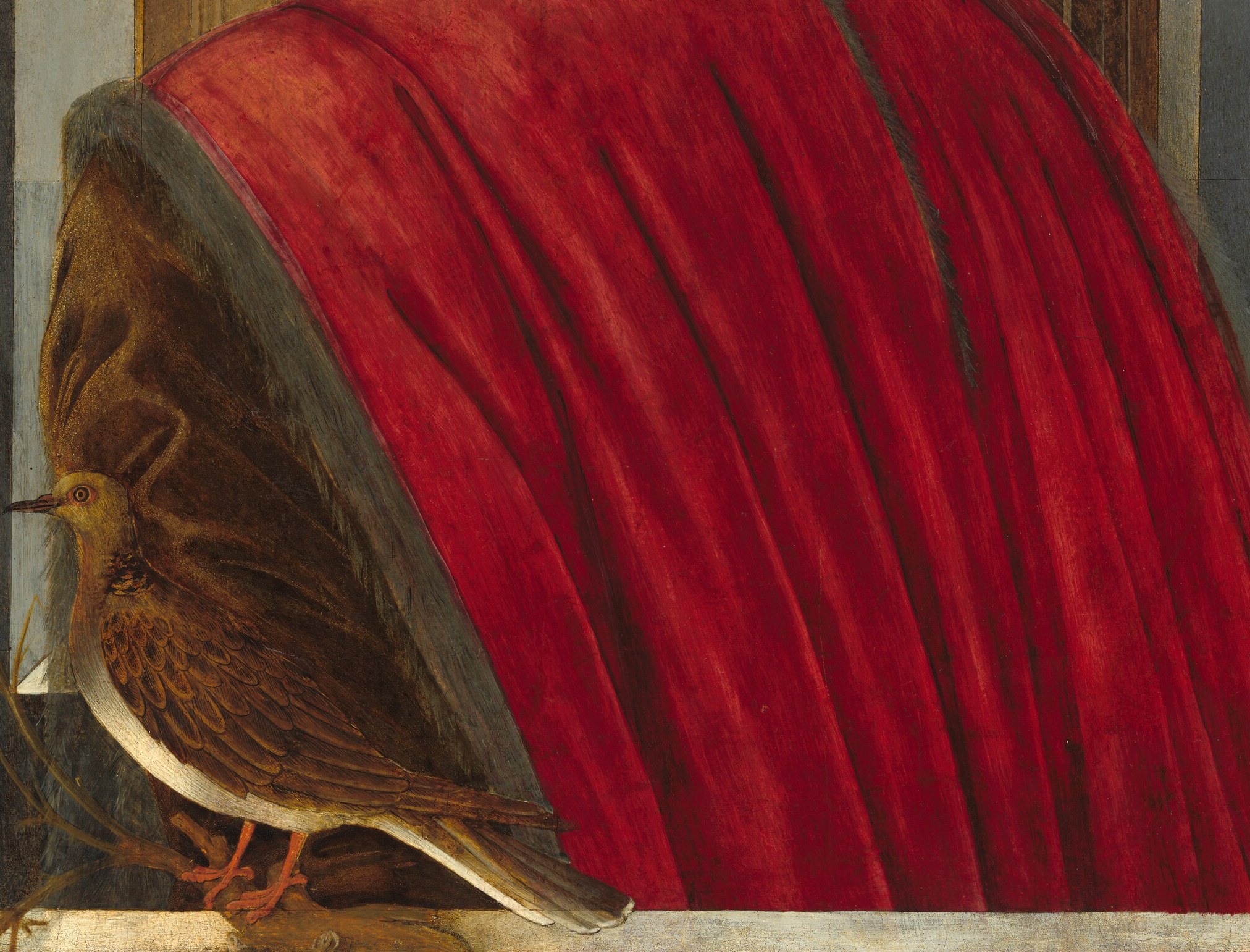 The large unbroken red zone shows how Botticelli uses flat tempera washes with minimal shadow modeling , closer to icon painting than oil naturalism; texture is visible under magnification.