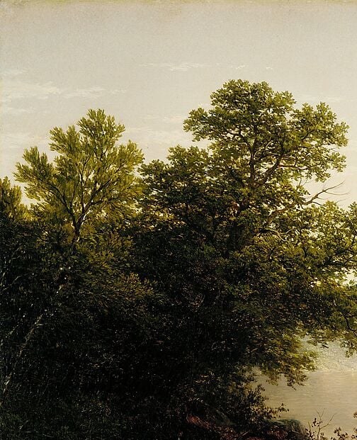 The dominant framing device , rich dark greens anchor the composition and invite the eye inward toward the luminous water beyond.