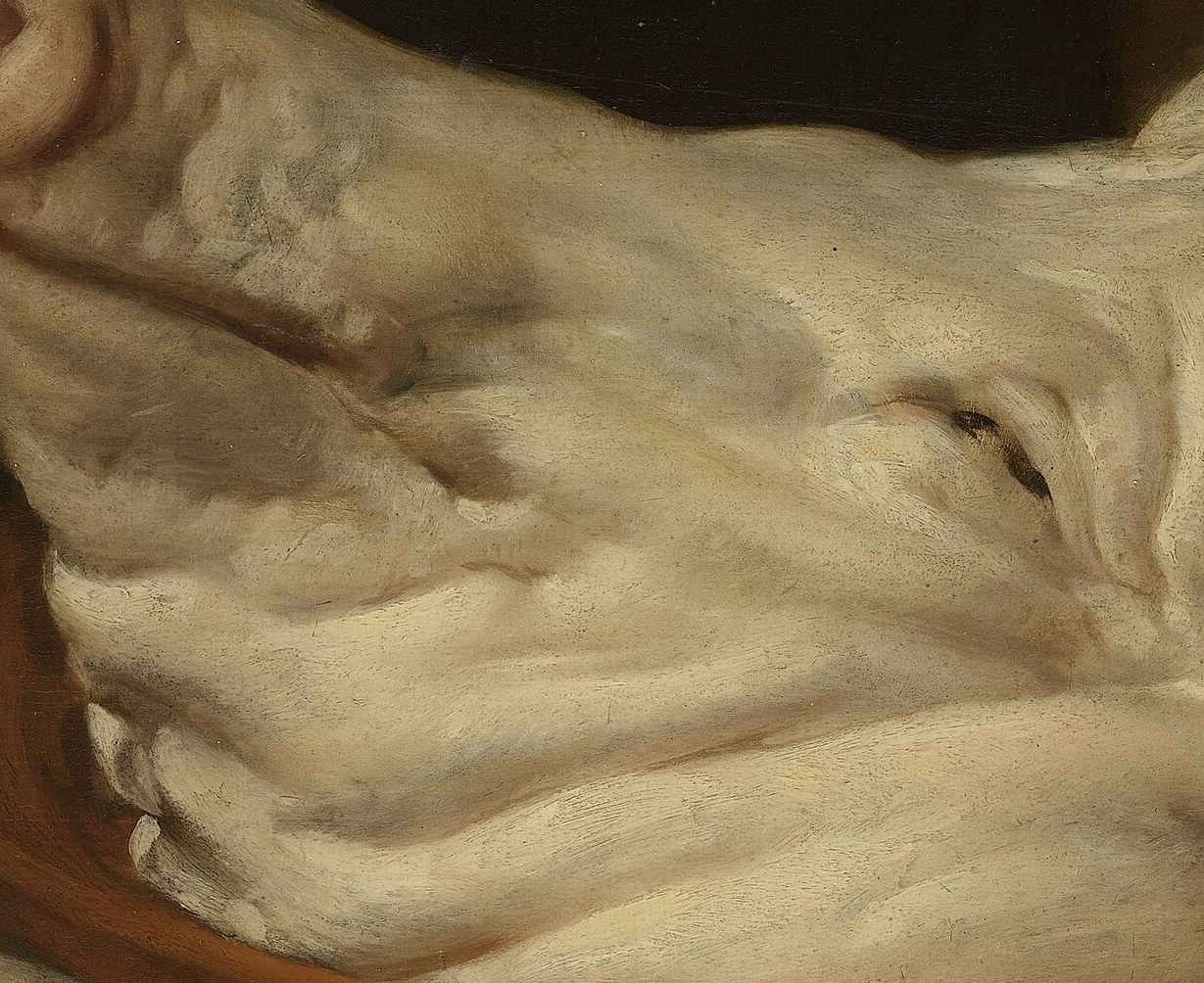 A pig's head, trotters, and coils of sausage.