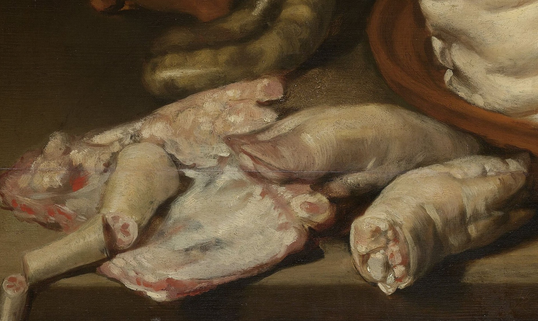 Compositional counterweight to the head; their jointed, stumpy form and pale skin complete the inventory of the whole animal, amplifying the vanitas undertow.